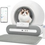 Smarte Katzentoilette selbstreinigend.